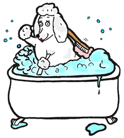 Dog bath dog graphics