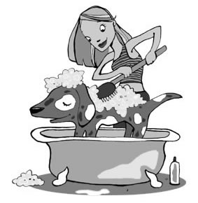 Dog bath