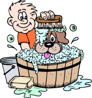 Dog bath dog graphics