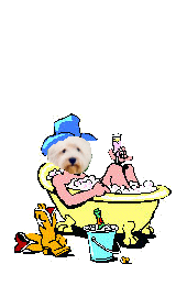 Dog bath dog graphics