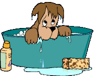 Dog bath dog graphics