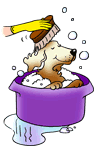 Dog bath dog graphics