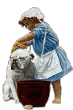 Dog bath dog graphics
