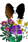 Dog butterfly dog graphics