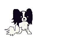 Dog butterfly dog graphics