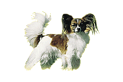Dog butterfly dog graphics
