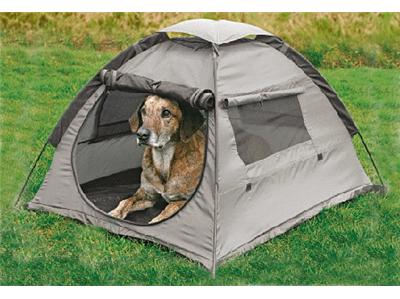 Dog camping dog graphics