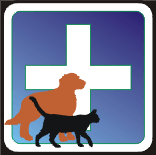 Dog doctor dog graphics