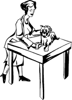 Dog doctor