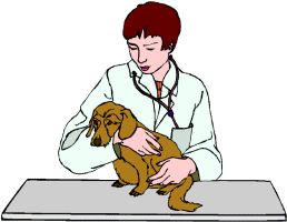 Dog doctor dog graphics