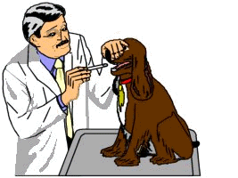 Dog doctor