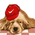 Dog funny dog graphics