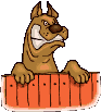 Dog funny dog graphics