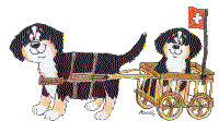 Dog funny dog graphics