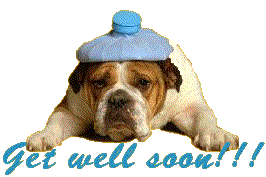 Dog funny dog graphics