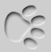 Dog paw dog graphics