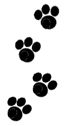 Dog paw dog graphics