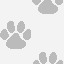 Dog paw dog graphics