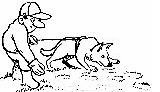 Dog training dog graphics