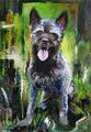 Dutch shepherd dog dog graphics