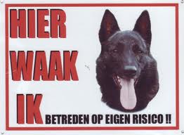 Dutch shepherd dog dog graphics