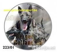 Dutch shepherd dog dog graphics