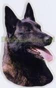 Dutch shepherd dog dog graphics