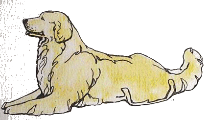 Golden retriever dog graphics