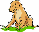 Golden retriever dog graphics