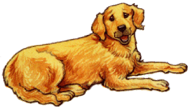 Golden retriever dog graphics