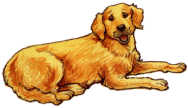 Golden retriever dog graphics