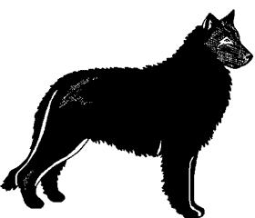 Groenendael dog graphics