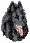 Groenendael dog graphics