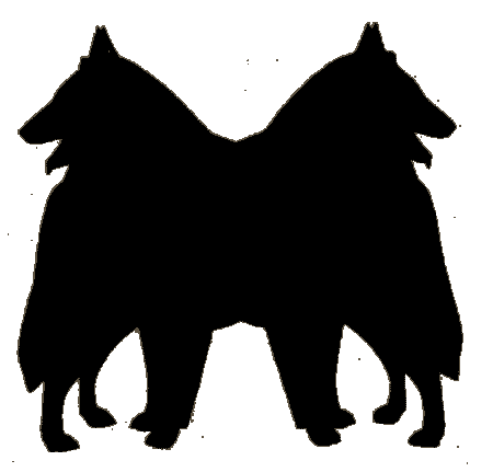 Groenendael dog graphics