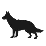 Groenendael dog graphics