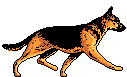 Herding dog dog graphics