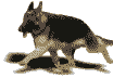 Herding dog dog graphics