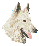 Herding dog dog graphics