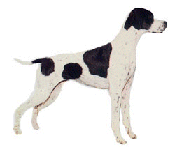 Hunting dog dog graphics