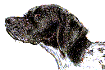 Hunting dog dog graphics