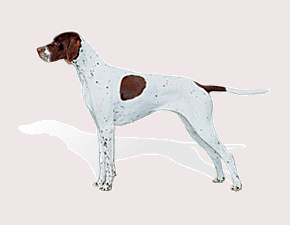 Hunting dog dog graphics