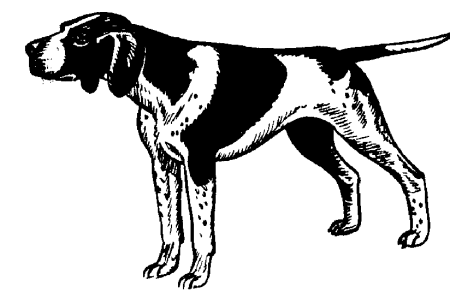 Hunting dog dog graphics