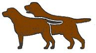 Hunting dog dog graphics