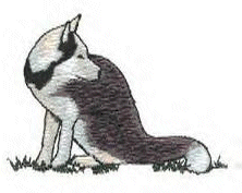 Husky