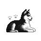 Husky dog graphics