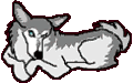 Husky dog graphics