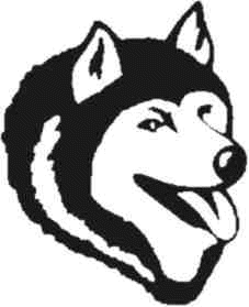 Husky dog graphics