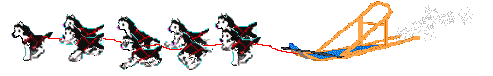 Husky dog graphics