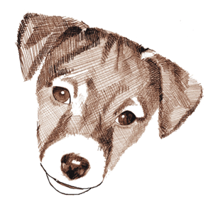 Jack russell terrier dog graphics