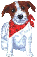 Jack russell terrier dog graphics